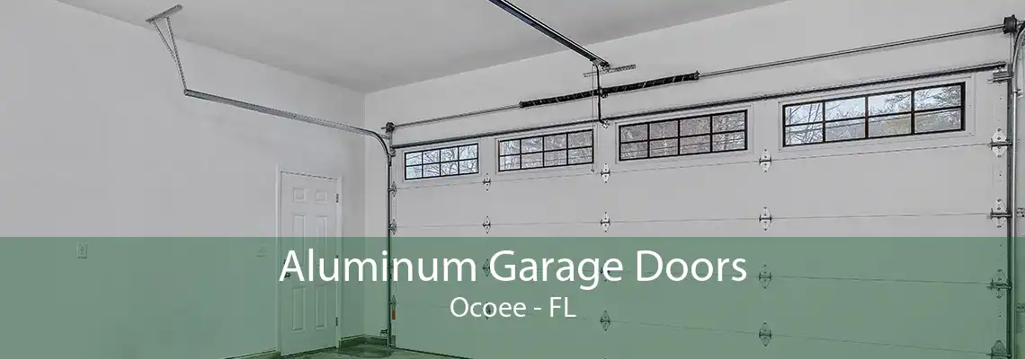 Aluminum Garage Doors Ocoee - FL