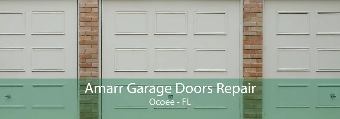 Amarr Garage Doors Repair Ocoee - FL