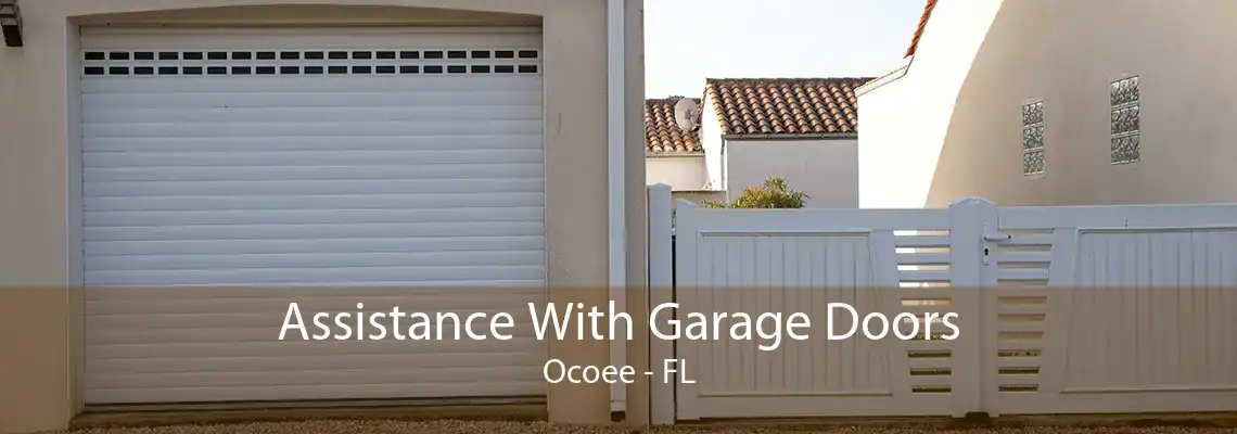 Assistance With Garage Doors Ocoee - FL