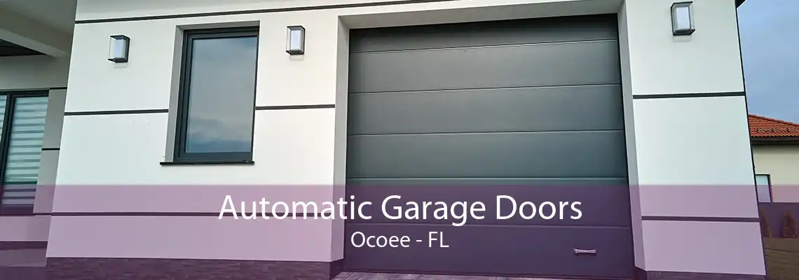 Automatic Garage Doors Ocoee - FL