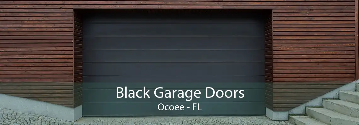 Black Garage Doors Ocoee - FL