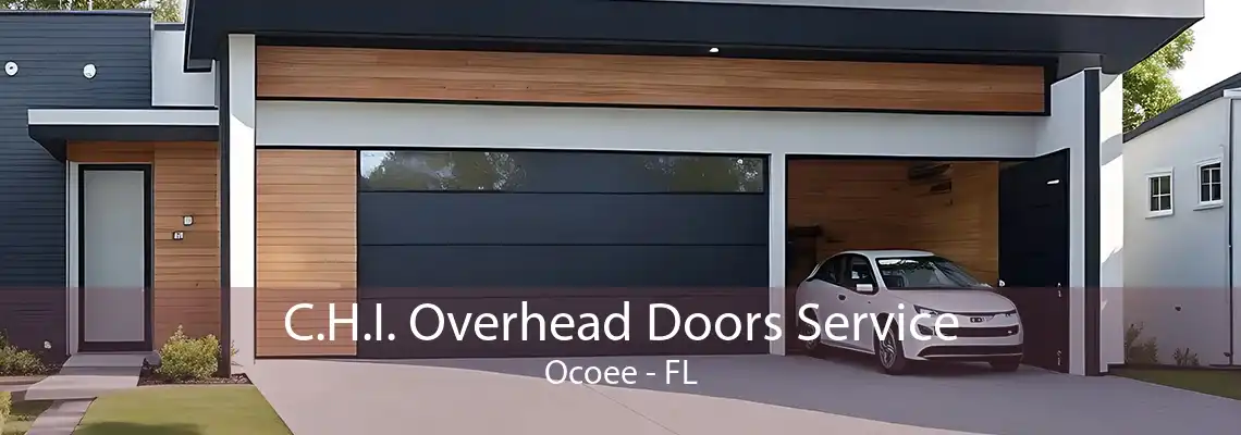 C.H.I. Overhead Doors Service Ocoee - FL