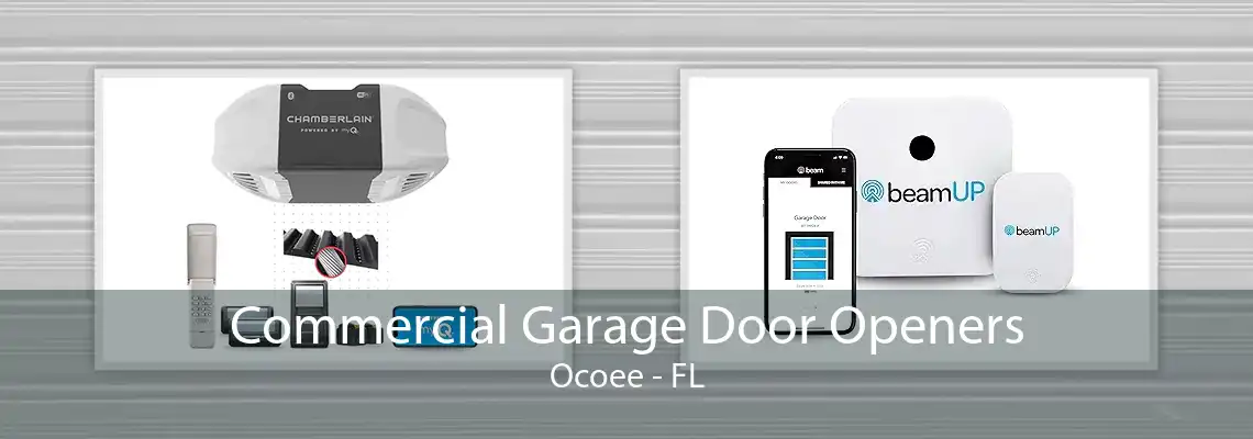 Commercial Garage Door Openers Ocoee - FL