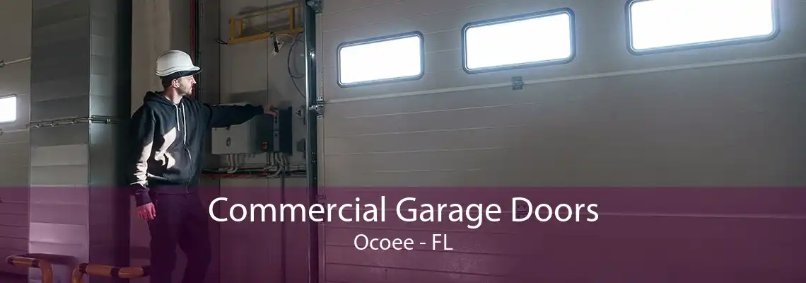 Commercial Garage Doors Ocoee - FL