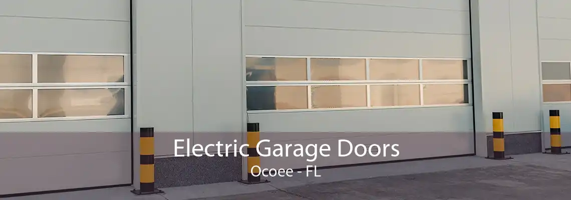 Electric Garage Doors Ocoee - FL