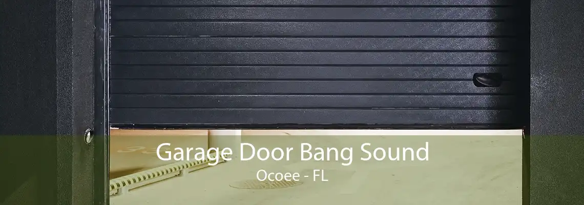 Garage Door Bang Sound Ocoee - FL