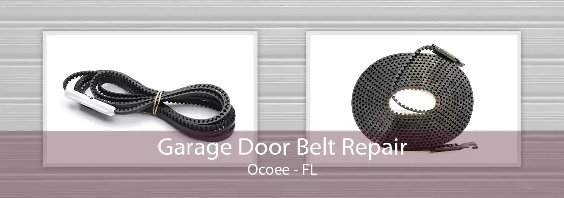 Garage Door Belt Repair Ocoee - FL