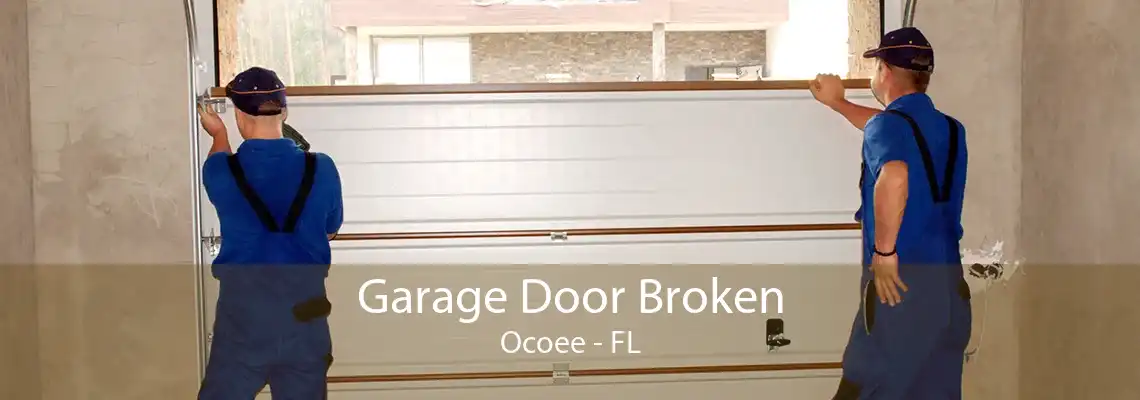 Garage Door Broken Ocoee - FL