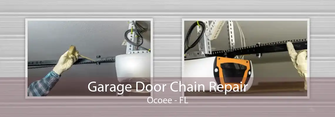 Garage Door Chain Repair Ocoee - FL