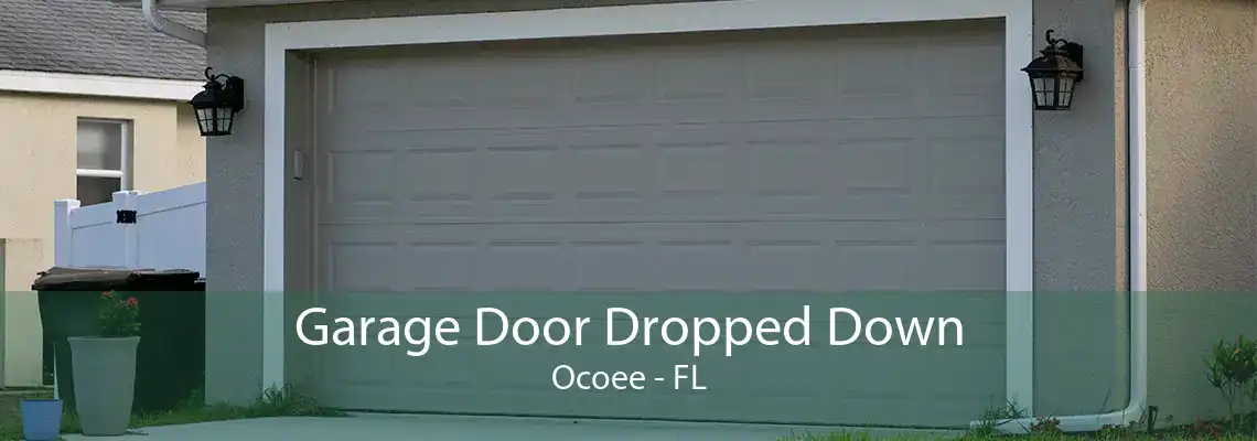 Garage Door Dropped Down Ocoee - FL