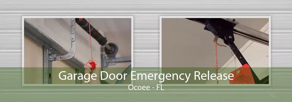 Garage Door Emergency Release Ocoee - FL