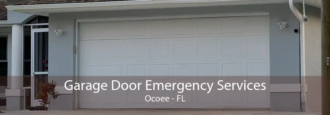 Garage Door Emergency Services Ocoee - FL