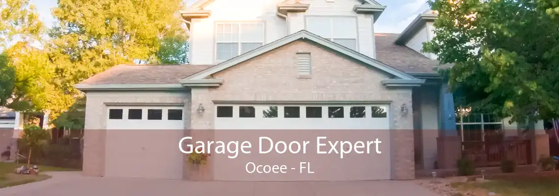 Garage Door Expert Ocoee - FL