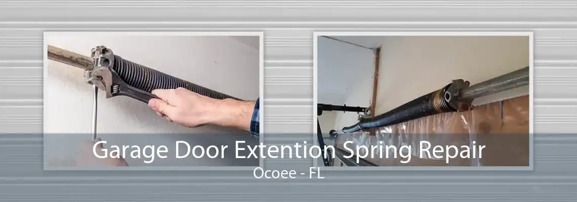 Garage Door Extention Spring Repair Ocoee - FL