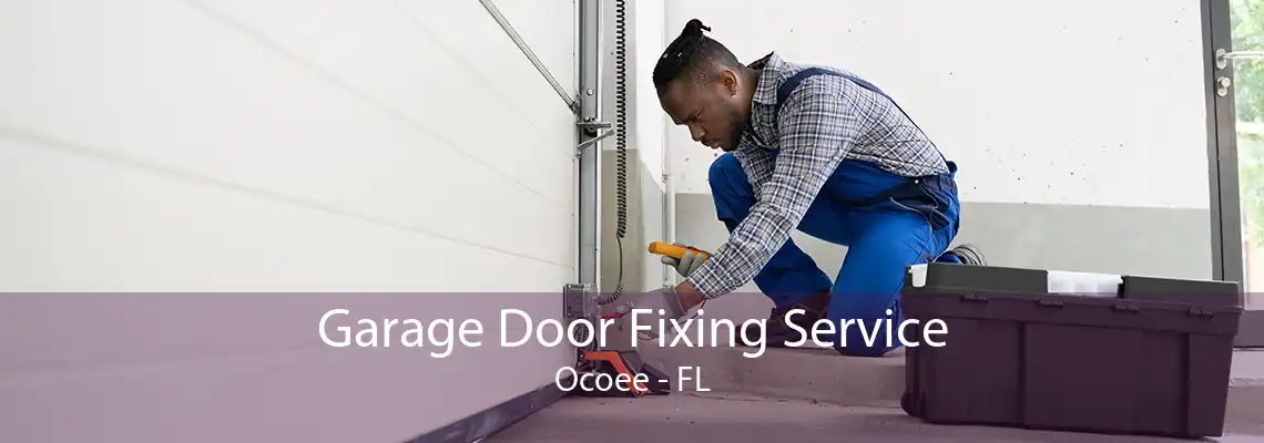 Garage Door Fixing Service Ocoee - FL