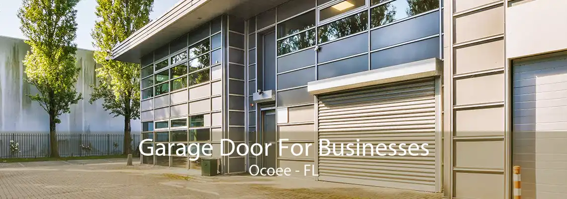 Garage Door For Businesses Ocoee - FL