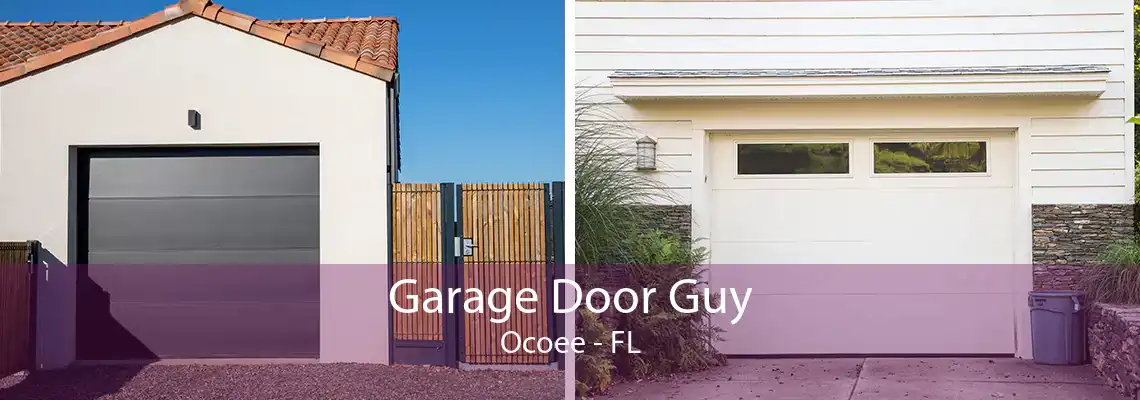 Garage Door Guy Ocoee - FL