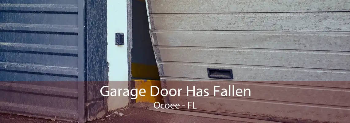 Garage Door Has Fallen Ocoee - FL