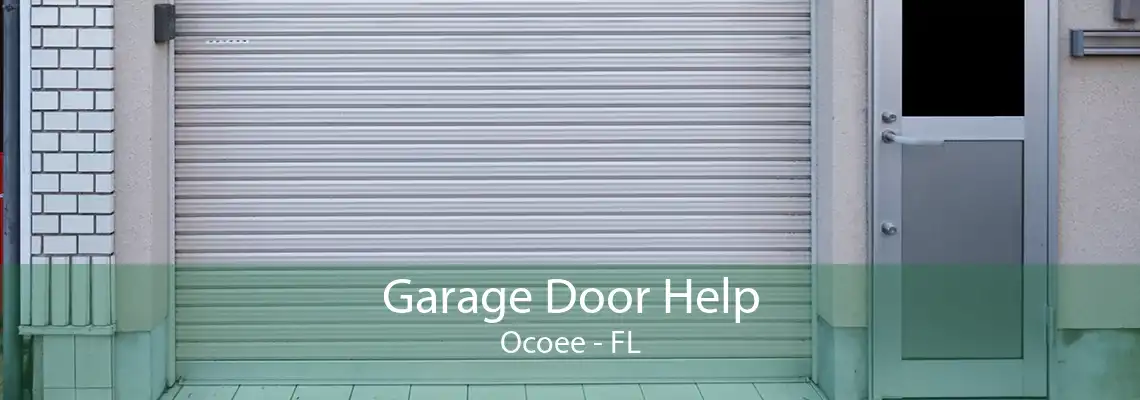 Garage Door Help Ocoee - FL