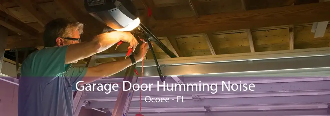 Garage Door Humming Noise Ocoee - FL