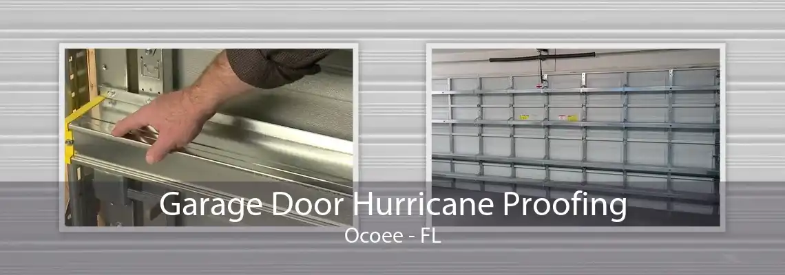 Garage Door Hurricane Proofing Ocoee - FL