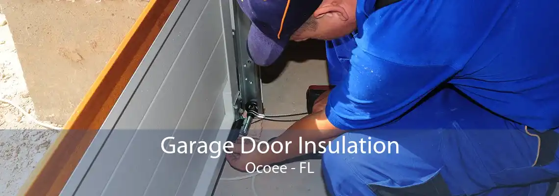 Garage Door Insulation Ocoee - FL