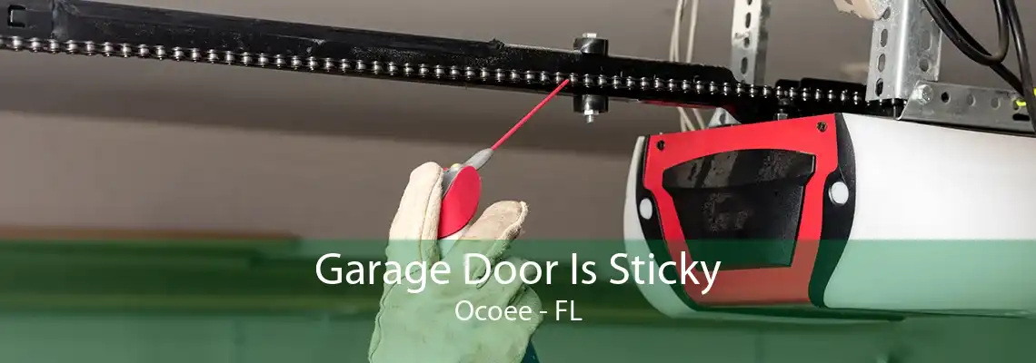 Garage Door Is Sticky Ocoee - FL