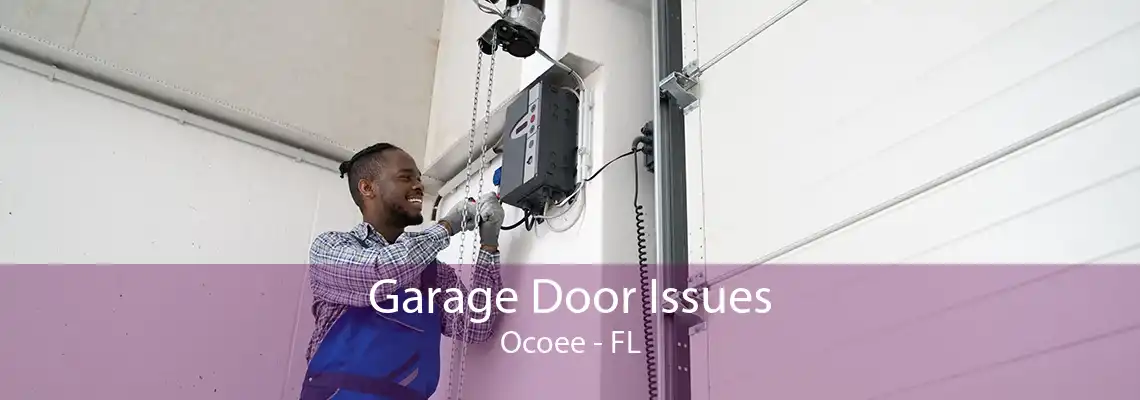 Garage Door Issues Ocoee - FL