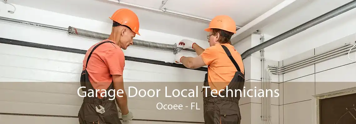 Garage Door Local Technicians Ocoee - FL