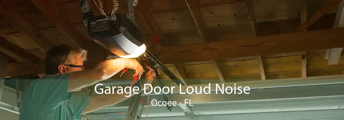 Garage Door Loud Noise Ocoee - FL