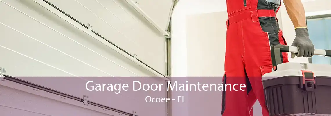 Garage Door Maintenance Ocoee - FL