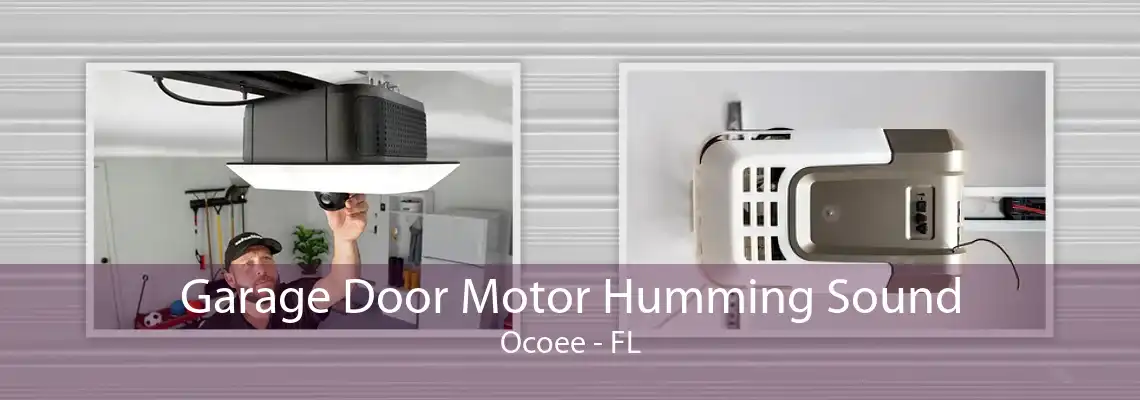 Garage Door Motor Humming Sound Ocoee - FL