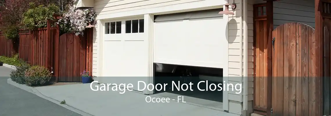 Garage Door Not Closing Ocoee - FL