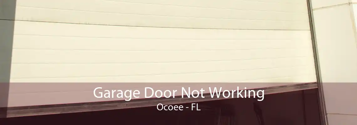 Garage Door Not Working Ocoee - FL