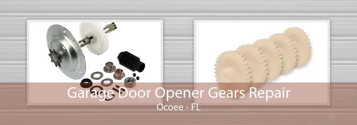 Garage Door Opener Gears Repair Ocoee - FL