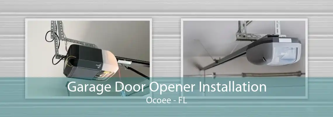 Garage Door Opener Installation Ocoee - FL