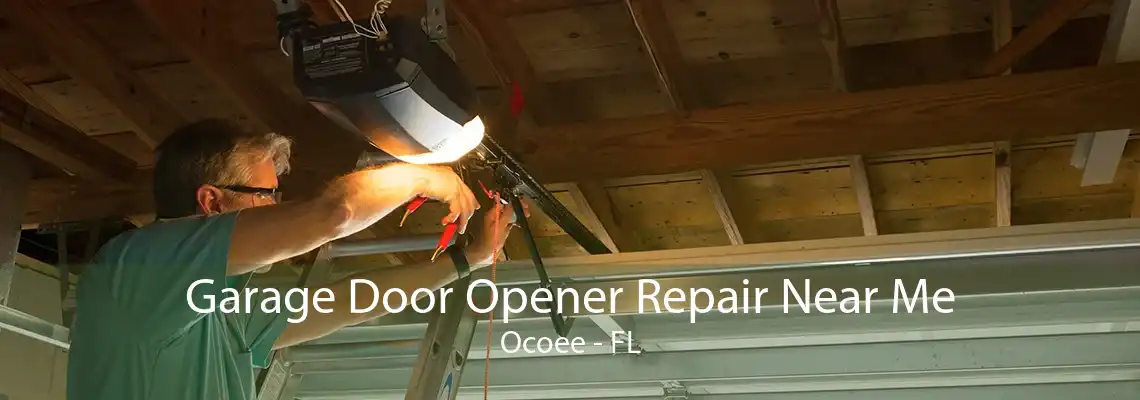 Garage Door Opener Repair Near Me Ocoee - FL