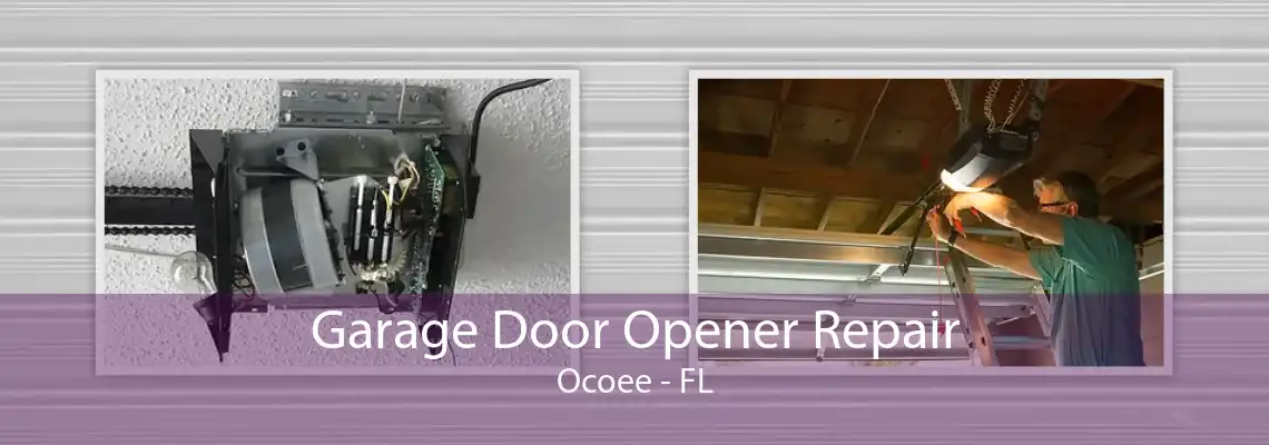 Garage Door Opener Repair Ocoee - FL