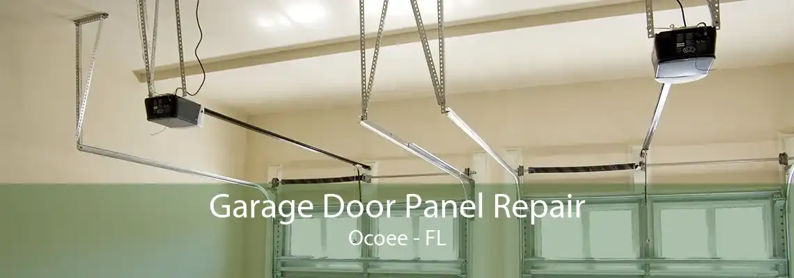 Garage Door Panel Repair Ocoee - FL