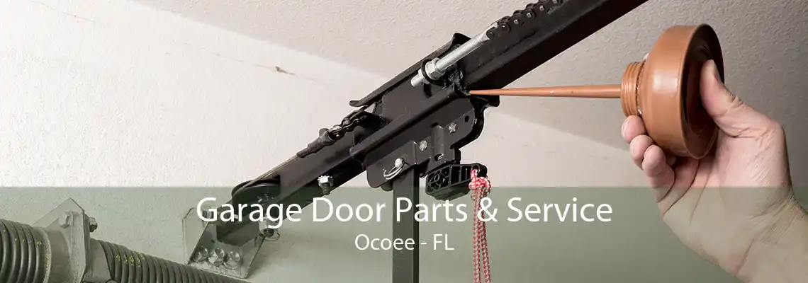 Garage Door Parts & Service Ocoee - FL