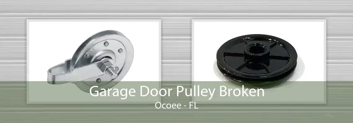 Garage Door Pulley Broken Ocoee - FL