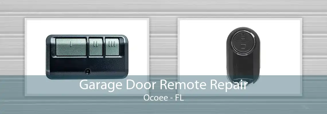 Garage Door Remote Repair Ocoee - FL