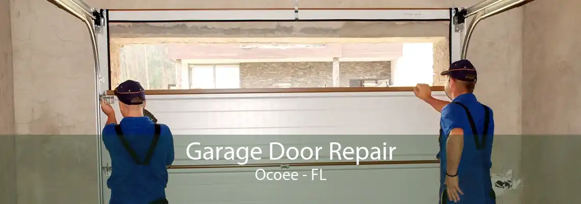 Garage Door Repair Ocoee - FL