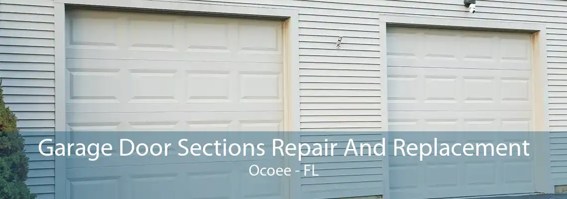 Garage Door Sections Repair And Replacement Ocoee - FL