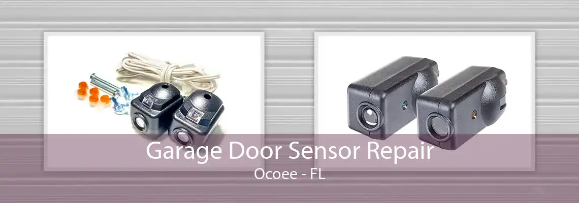 Garage Door Sensor Repair Ocoee - FL