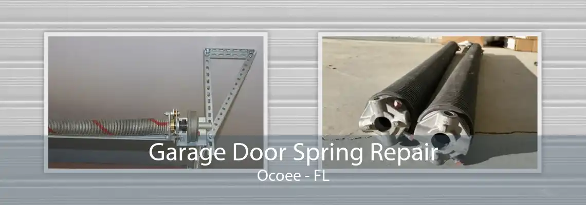 Garage Door Spring Repair Ocoee - FL