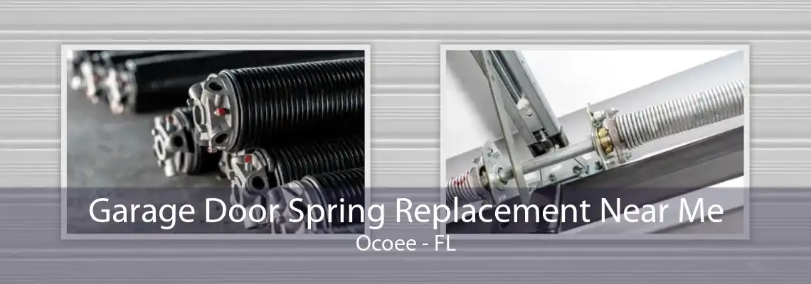 Garage Door Spring Replacement Near Me Ocoee - FL