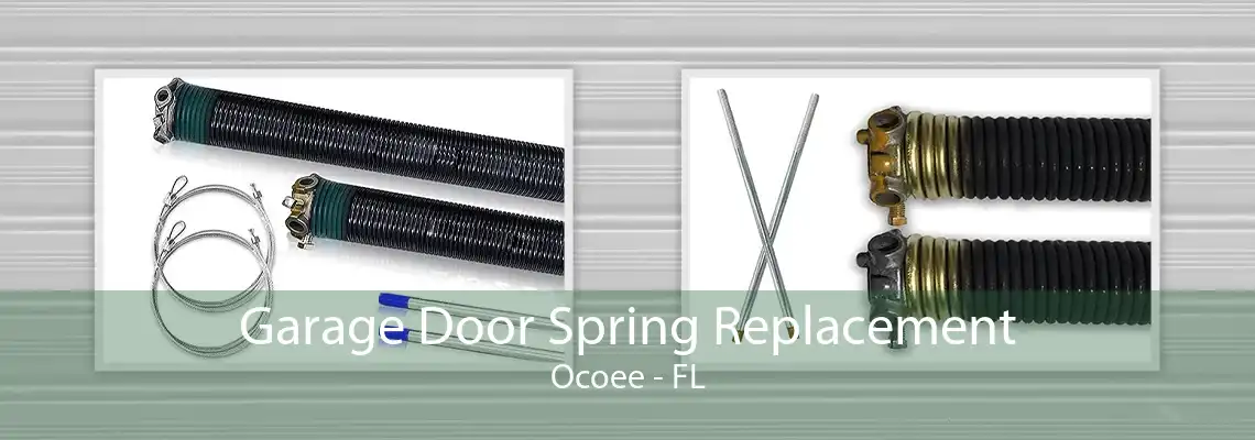 Garage Door Spring Replacement Ocoee - FL