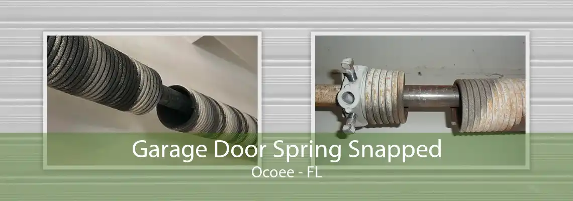 Garage Door Spring Snapped Ocoee - FL