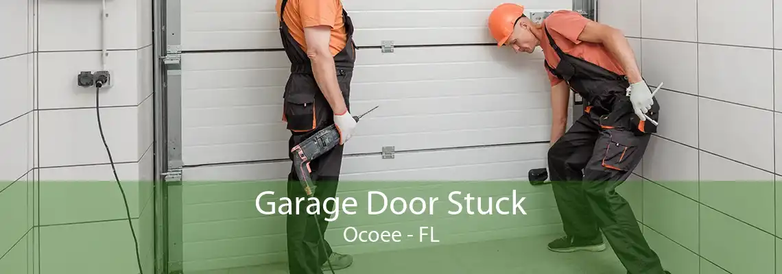 Garage Door Stuck Ocoee - FL